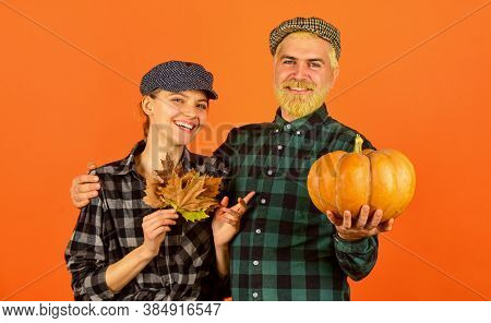 Harvesting Season. Autumn Harvesting Works. Work At Fields. Harvest Festival. Farmers Market. Autumn