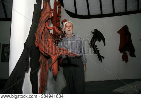 Nova Vicosa, Bahia / Brazil - October 27, 2008: Frans Krajcberg, Artist And Environmentalist, Is See
