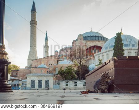 Hagia Sophia In Istanbul, Cathedral And Mosque, Museum. Cathedral With A Dome And Minarets, View Fro