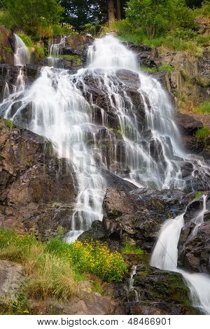 Todtnauer Waterfalls With Yellow Flowers, Black Forest, Germany
