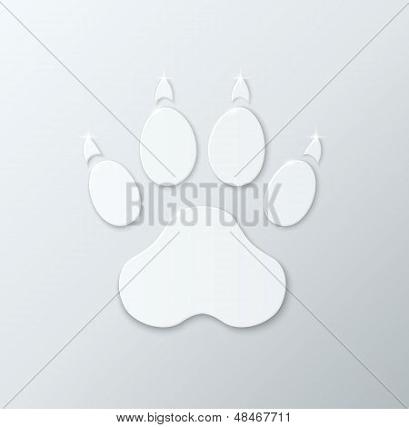 Shiny Plastic Trace of Dog.