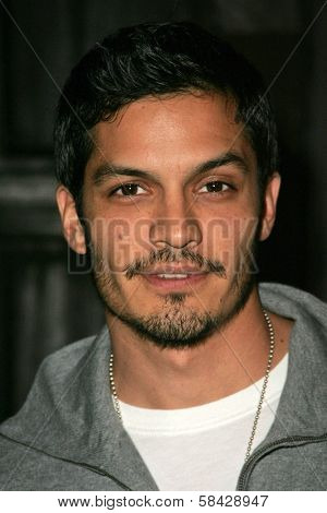 HOLLYWOOD - DECEMBER 07: Nicholas Gonzalez at Howard Fine's Ball of Fire December 07, 2006 in Boardners, Hollywood, CA.
