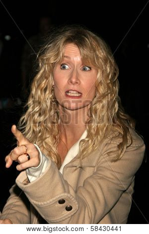 LOS ANGELES - DECEMBER 09: Laura Dern at the Los Angeles Premiere of Inland Empire at LACMA December 09, 2006 in Los Angeles, CA