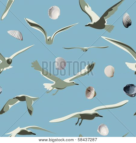 Sea Gulls And Shells