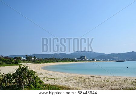 Tropical Beach View