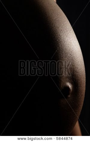 Gravid
