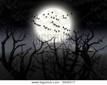 Nacht Holz