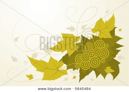 绿色的树叶背景