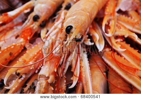 King prawns closeup