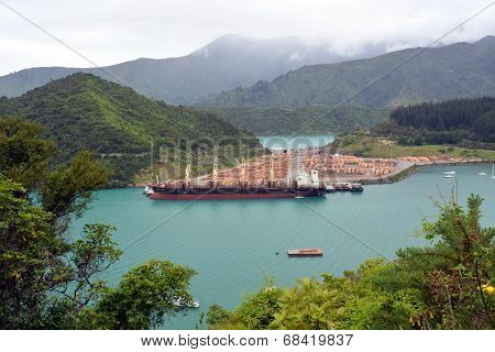 Pine Log Exporting At Picton, New Zealand