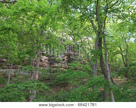 Box Canyon and beautiful spring time trees at Starved Rock State Park