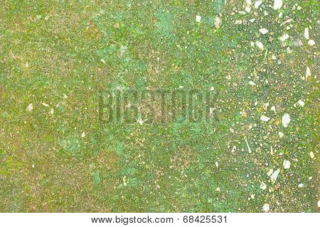 Background With Green Fungus Island.