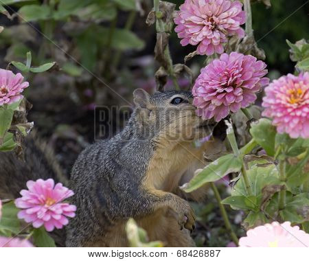 Smell The Flowers
