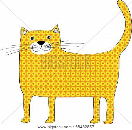 a cat