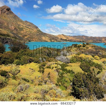 National Park Chile - Torres del Paine. Yellow and green hilly lakeside Pehoe