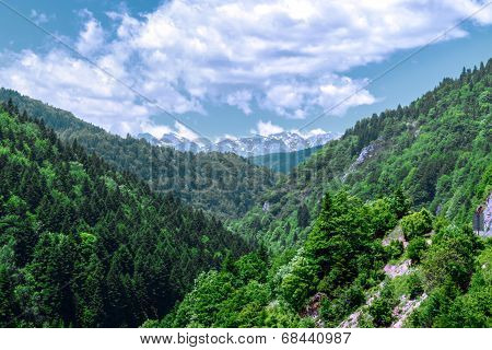 The Mountain Hills In Mavrovo