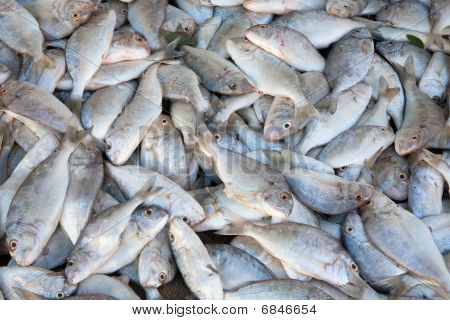 Fondo de pescado crudo