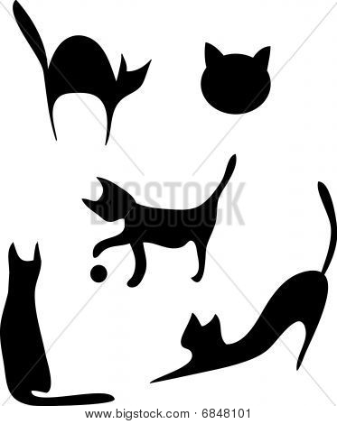kat