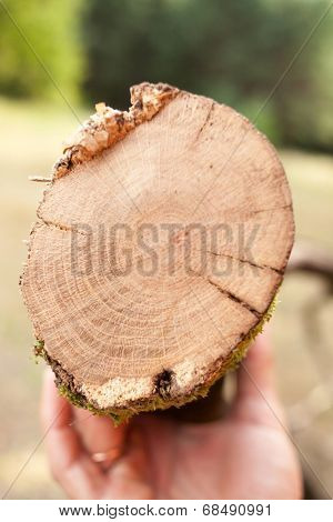 eco concept