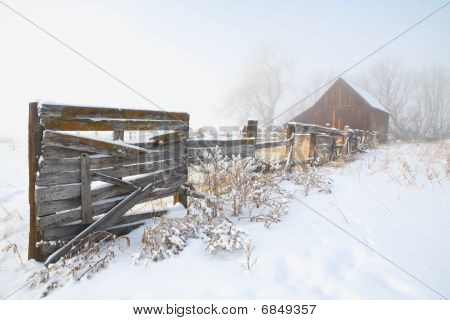 Nebbia mattutina