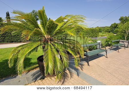 Bergianska garden