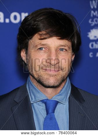 LOS ANGELES - DEC 04:  Tim Guinee arrives to the 2014 Beat The Odds on December 04, 2014 in Culver City, CA                