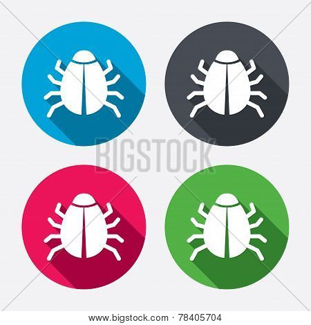 Bug sign icon. Virus symbol. Software bug error