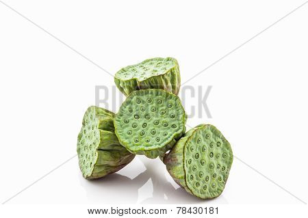 Calyx, Lotus Seeds Green.