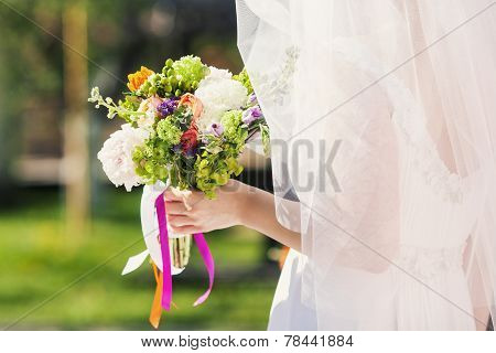 Bride Outdoors