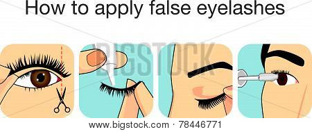 Guide step to applying false eyelash