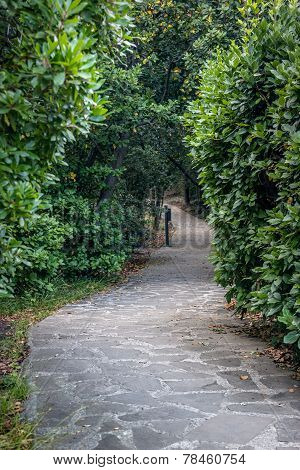 Old alley
