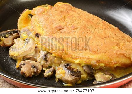 Mushroom Omelet