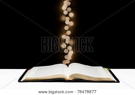 The Holy Bible