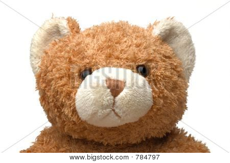 Muotokuva minun Teddy