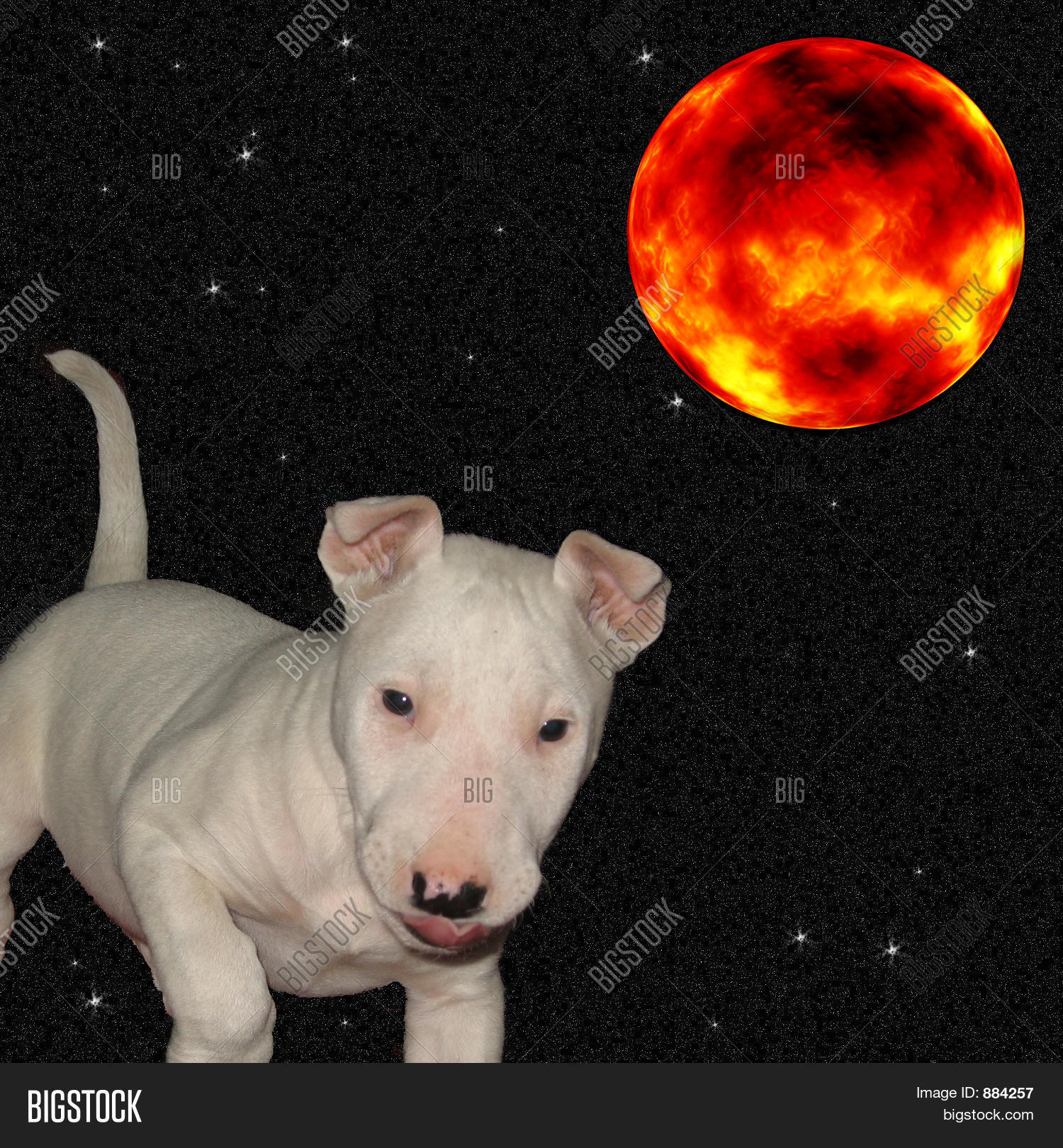 Image Preview