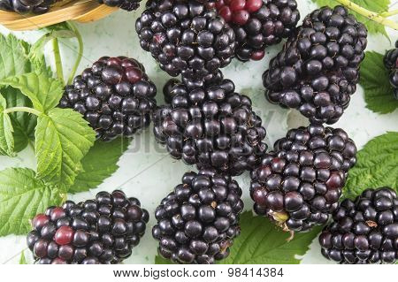 Fresh Blackberries On Blackberry Leaf