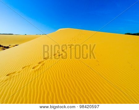 White Sand Dunes