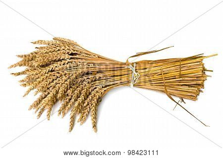 Wheat On The White