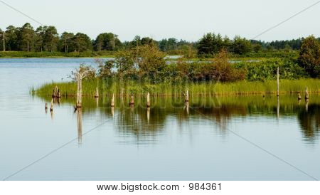 Seney4