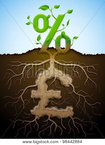 Growing Percent Sign As Plant With Leaves And Pound Sign As Root
