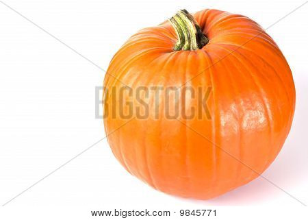 Texto de calabaza área V4