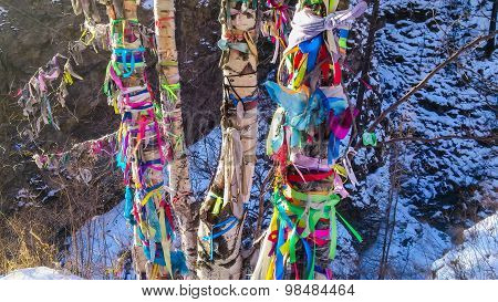 Buddhist custom to tie color tapes on trees that means to honor sacred places and to make a wish