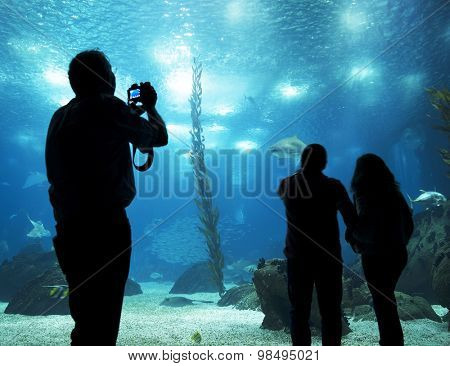 LISBON, PORTUGAL - June 12 2015: Interior view of the Lisbon Oceanario on June 12 2015 Lisbon, Portugal, Europe