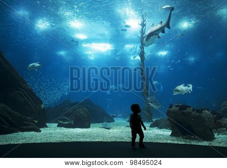 LISBON, PORTUGAL - June 12 2015: Interior view of the Lisbon Oceanario on June 12 2015 Lisbon, Portugal, Europe