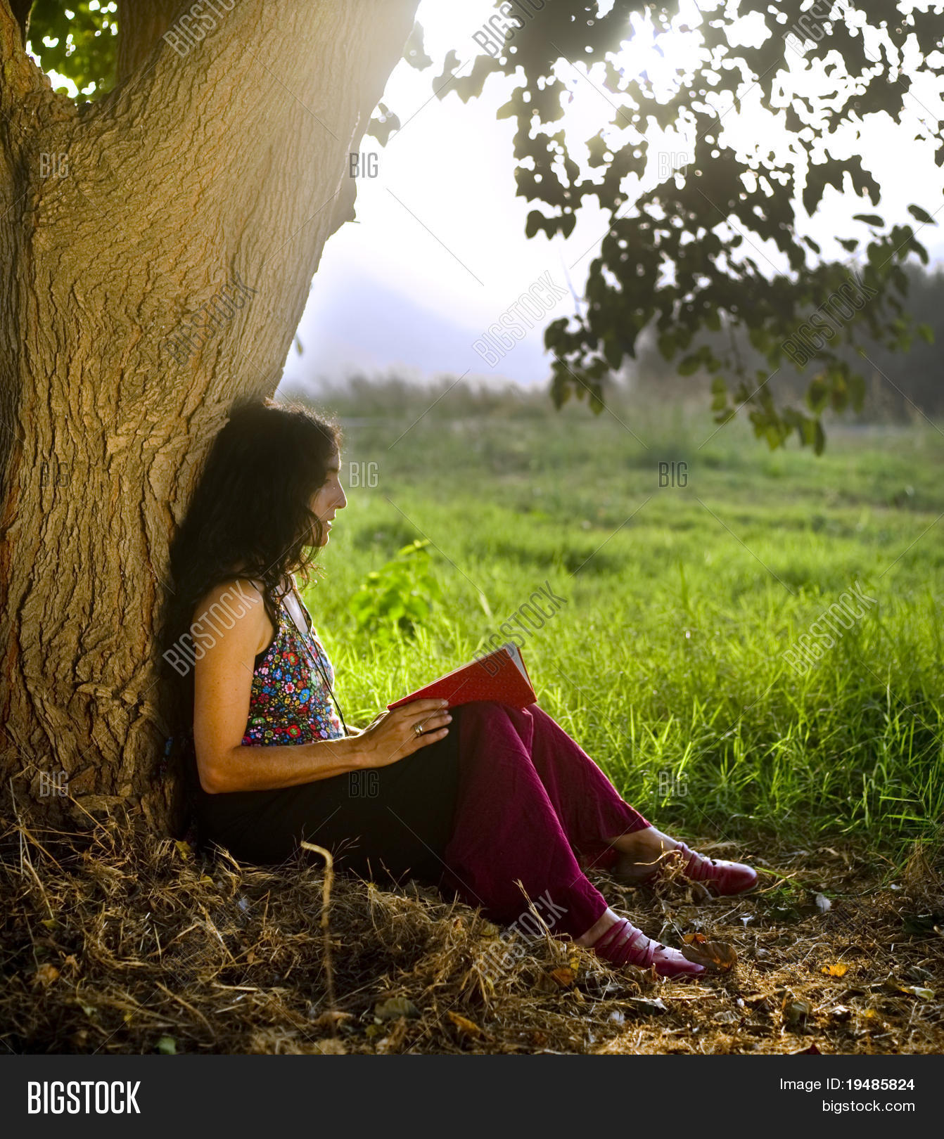 Niña Sentada Bajo Un árbol Leyendo 390+ Niño Leyendo Un Libro