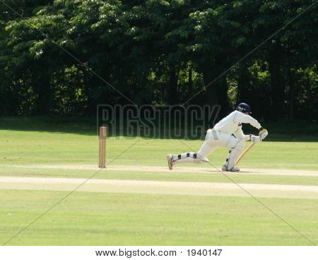 Cricket gærdespiller