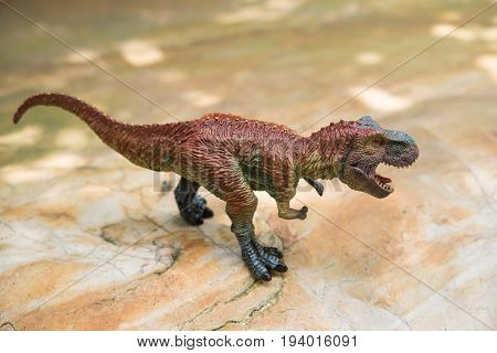 tyrannosaurus toy stands on rock in day time