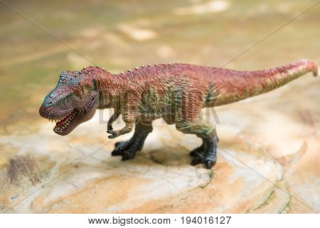tyrannosaurus toy stands on rock in day time
