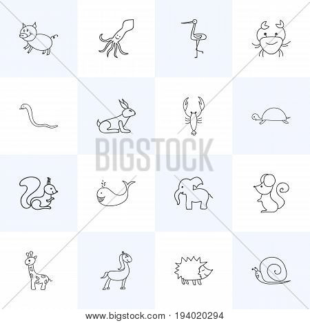 Set Of 16 Editable Animal Icons. Includes Symbols Such As Rabbit, Pony, Tentacle And More. Can Be Used For Web, Mobile, UI And Infographic Design.