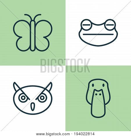 Animal Icons Set. Collection Of Night Fowl, Duck, Moth And Other Elements. Also Includes Symbols Such As Mallard, Butterfly, Duck.